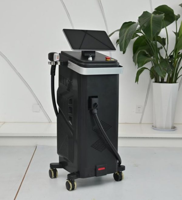 WhatsApp Image 2026-02-26 at 11.26.23